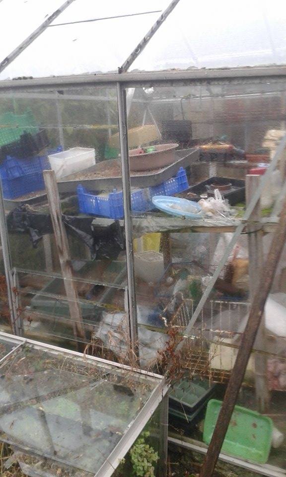 Ferndale House Clearance